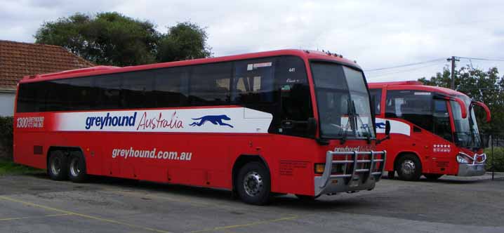 Greyhound MCA Classic III 441